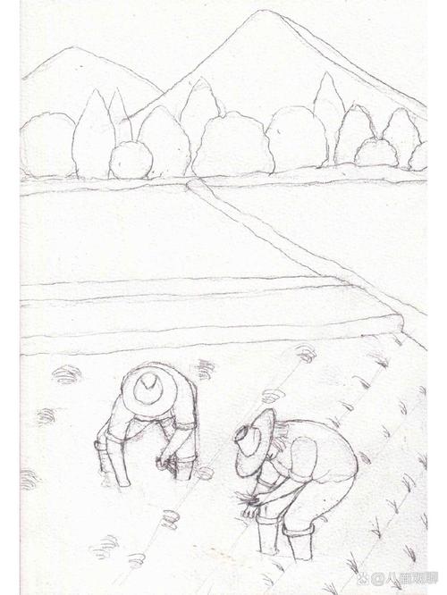 插秧图片绘画教程(如何用绘画展现插秧的过程?一组插秧图片绘画教程分享给你)
