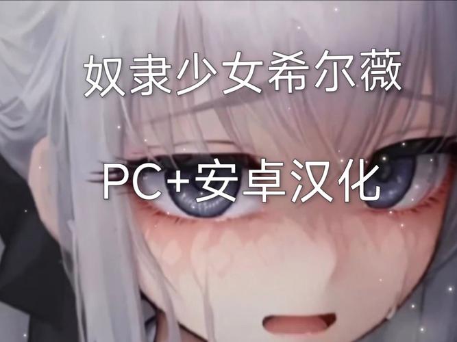 希薇尔冷狐版19g安装包_希薇尔冷狐版 19g 安装包:满足你欲望的神器