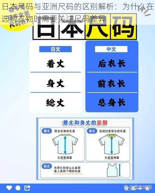 日本尺码与亚洲尺码的区别解析:为什么在选购衣物时需要关注尺码差异