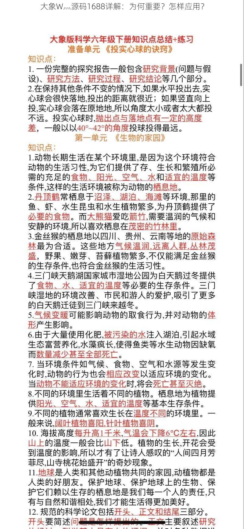 大象W灬源码1688详解:为何重要?怎样应用?