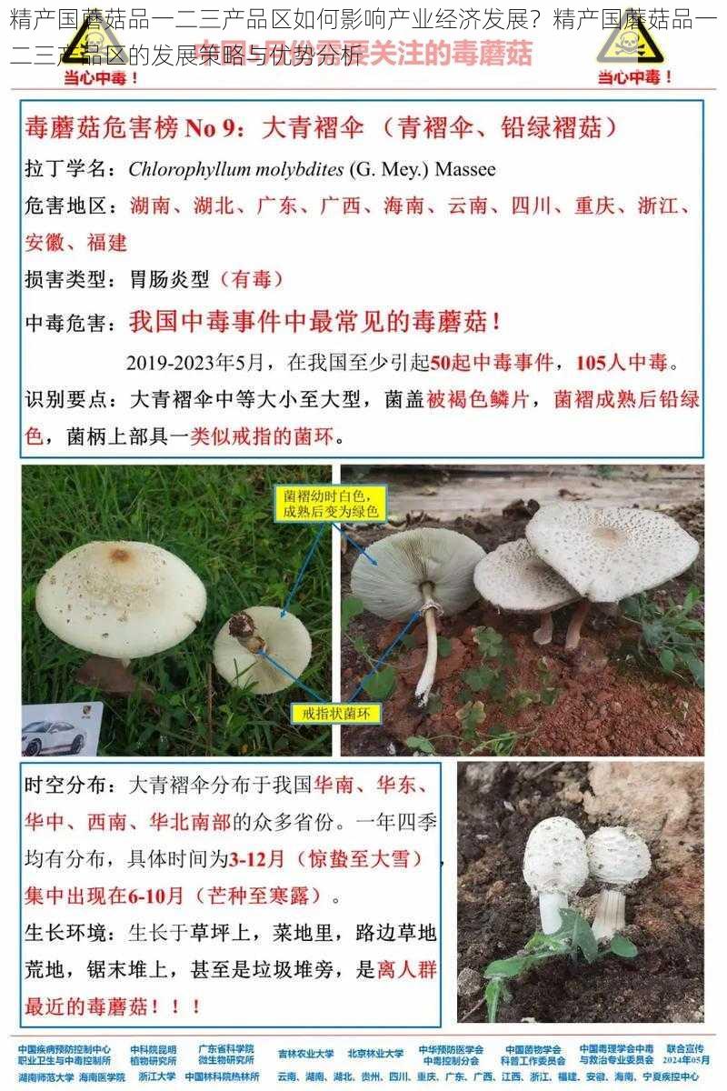 精产国蘑菇品一二三产品区如何影响产业经济发展?精产国蘑菇品一二三产品区的发展策略与优势分析