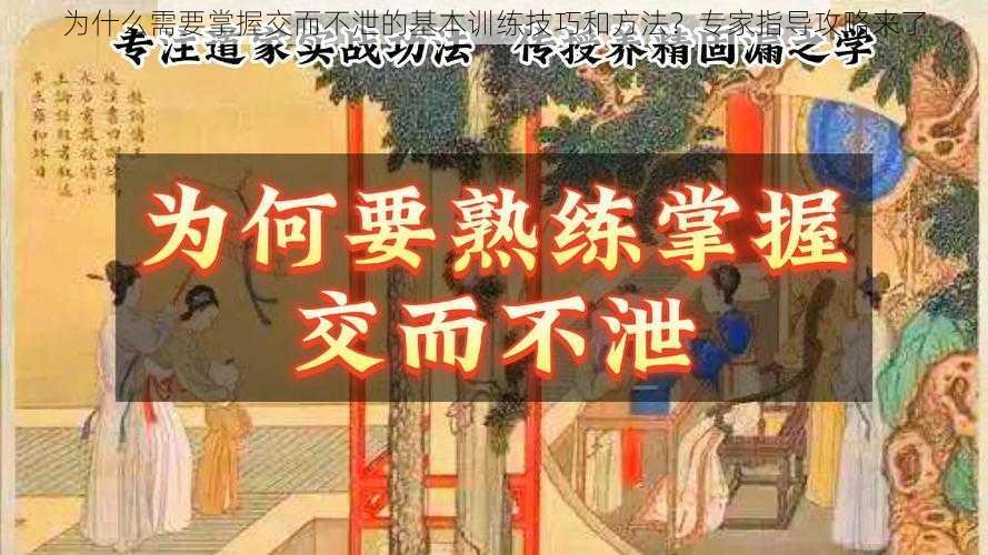 为什么需要掌握交而不泄的基本训练技巧和方法?专家指导攻略来了