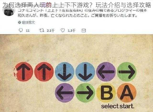 为何选择两人玩的上上下下游戏?玩法介绍与选择攻略