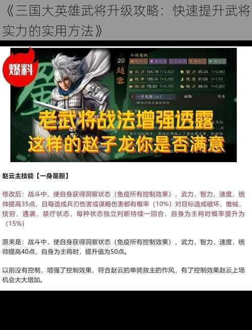 《三国大英雄武将升级攻略:快速提升武将实力的实用方法》