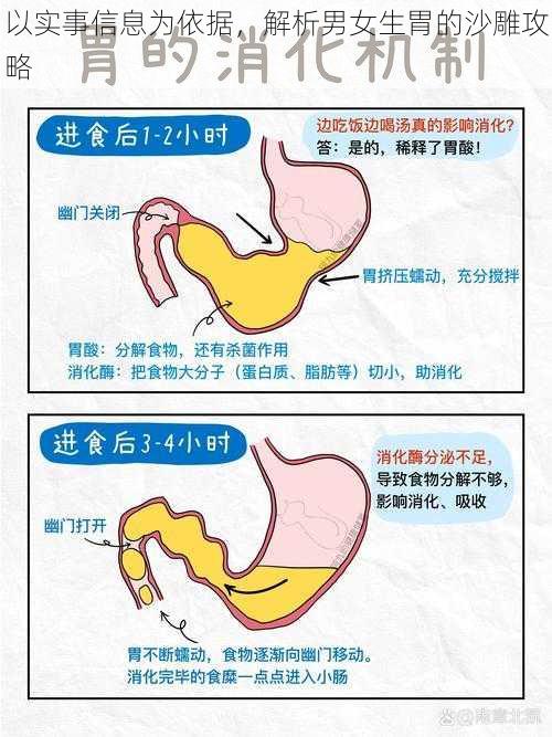 以实事信息为依据,解析男女生胃的沙雕攻略